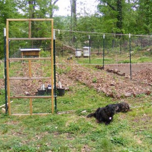 Building a Hugelkultur Bed